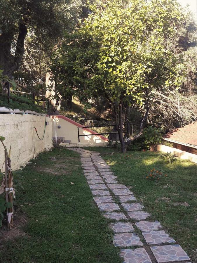 Villa Regina Barbati Exterior photo